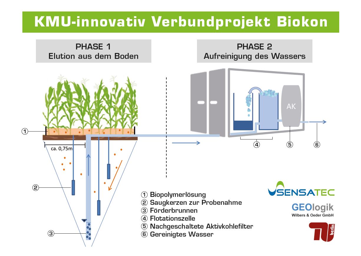 Auf dem Bild ist das Verfahrensschema der entwickelten Technologie in zwei Phasen dargestellt. In Phase 1 wird Biopolymerlösung auf eine landwirtschaftliche Fläche aufgebracht und versickert bis zum Grundwasser. Die Schadstoffe werden von den Biopolymeren aus dem Boden bis ins Grundwasser transportiert. In Phase 2 wird das Grundwasser in eine Sanierungsanlage gefördert. In der Sanierungsanlage werden die Schadstoffe mittels einer Flotationsanlage vom Wasser getrennt. Das verbleibende Wasser wird über einen Aktivkohlefilter geleitet und ist somit gereinigt.