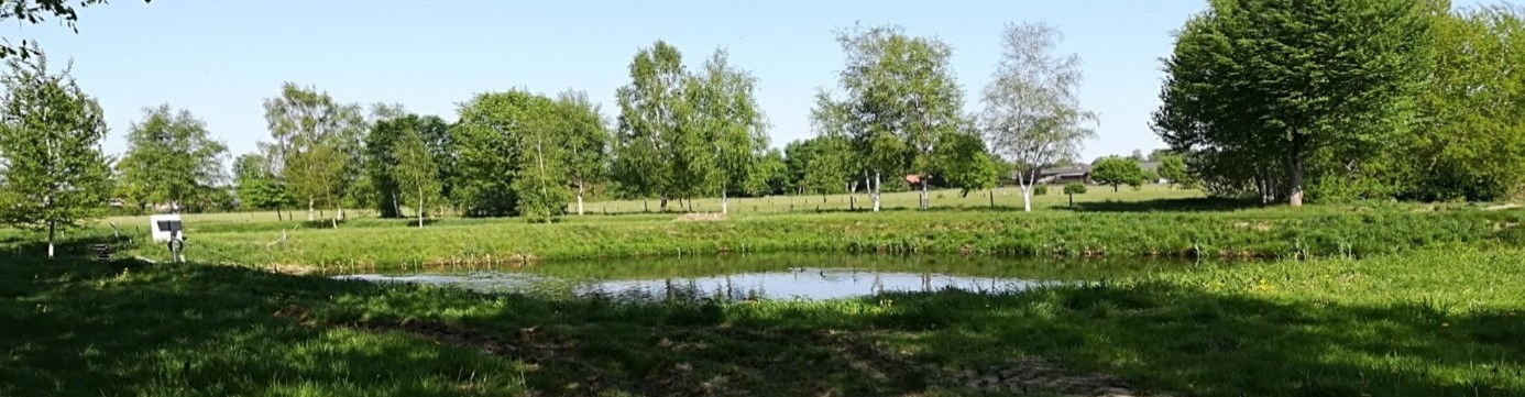 Das Bild zeigt die Klärteichanlage in Weißenberge