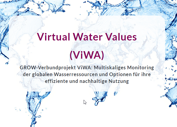 Screenshot of the ViWA website
