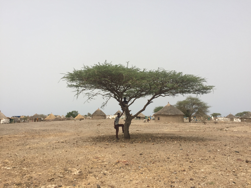 A photo of two men leaning against a tree and sitting on a branch, against the backdrop of a drought-ridden village with mud huts in Sudan.
