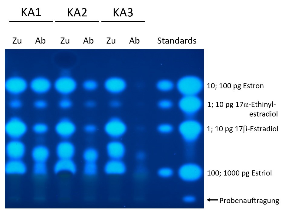 The figure shows estrogenic effects in three wastewater samples analyzed by the planar yeast estrogen screen. The samples are applied in tracks – the influent sample on the left and the respective effluent sample adjacent to its right. On the far right, two tracks containing reference compounds are applied. These reference compounds are Estrone in amounts of 10 and 100 pg, 17-Estradiol und 17-Ethinylestradiol in amounts of 1 ans 10 pg, each, and Estriol in amounts of 100 und 1000 pgl. Compounds with estrogenic potential appear as blue fluorescent bands after the performance of the biotest on the surface of the thin-layer plate. A number of fluorescent signals were detectable in all samples. Some signals can be assigned to the reference compounds based on their migration behavior. The estrogenic activity profiles in all influent samples are very similar. However, the signal intensities in the effluent samples differ substantially between the three wastewater treatment plant, indicating their different treatment efficiency to remove estrogenic compounds.