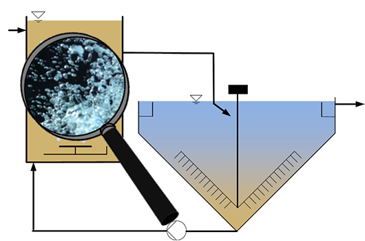 Shown is a schematic representation of the activated sludge process with an aerated aerobic activated sludge tank followed by a secondary clarifier to separate the activated sludge from the treated wastewater.