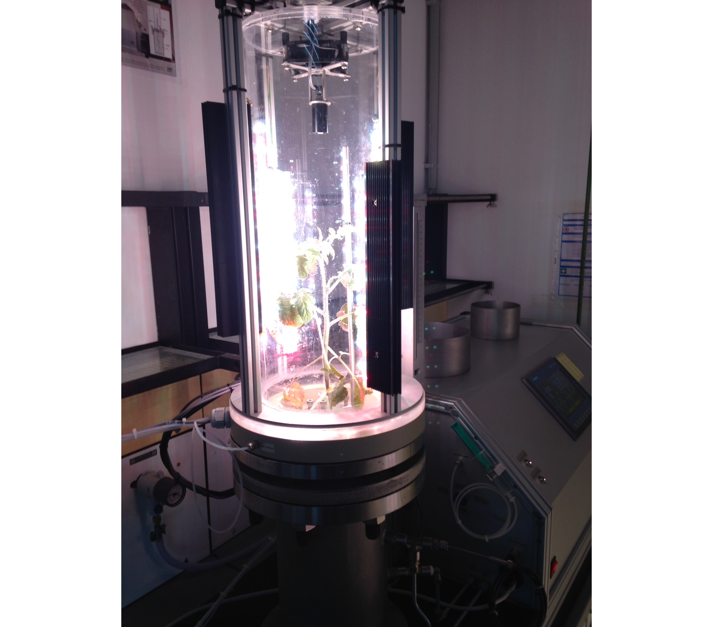 The device used to simultaneously measure transpiration rate and leaf water potential for intact plants growing in soils. Plants can be imposed to varying atmospheric and soil conditions.
