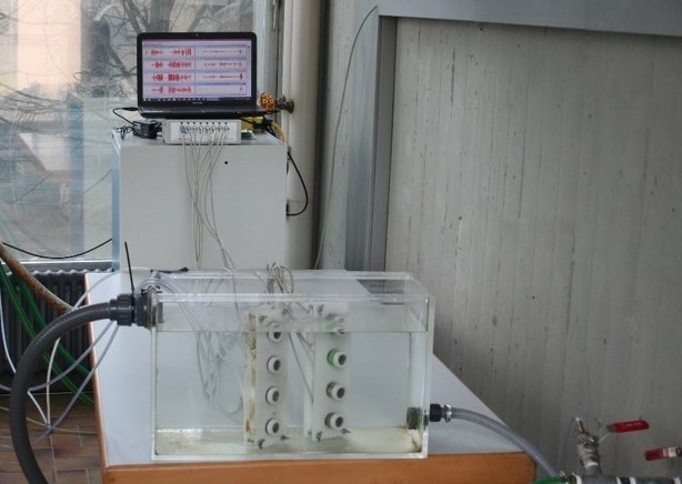 Aufbau des Grundwasserbiomonitors mit Gammarus fossarum (Bachflohkrebs) und Niphargopsis casparyi (Grundwasserflohkrebs) in einem Wasserwerk: Im Vordergrund zu sehen ist der Durchflusstank mit den einzelnen Messkammern, die jeweils ein Zeigertier enthalten, welches sich frei bewegen kann.