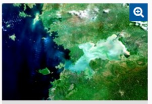 Satellite image of Kisumu Bay on Lake Victoria which is frequently subject to algal blooms.