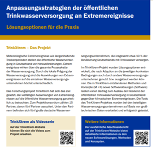 Flyer der Handlungsempfehlung