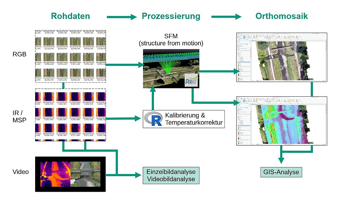 o	Infografik mit Fließschema der Arbeitsschritte von Rohdaten über Prozessierung bis zur GIS-Analyse, links RGB-Bilder, IR-Bilder und kombinierten RGB-IR-Videoausschnitt, mittig Prozessierungsschritte mit Kalibrierung und Temperaturanpassung via R-Skript und Structure-from-Motion-Algorithmus von Pix4D, rechts Orthomosaik und GIS-Analyse
