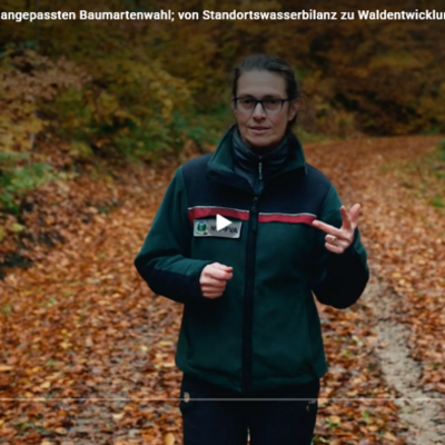 Grundlagen der klimaangepassten Baumartenwahl