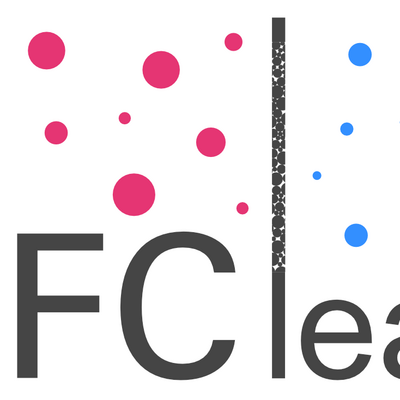 Website PFClean