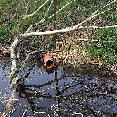 The photo shows a pipe that empties into a body of water and may be discharging nitrate-contaminated groundwater into a watercourse.