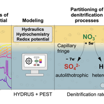 to Partition Denitrification Pathways