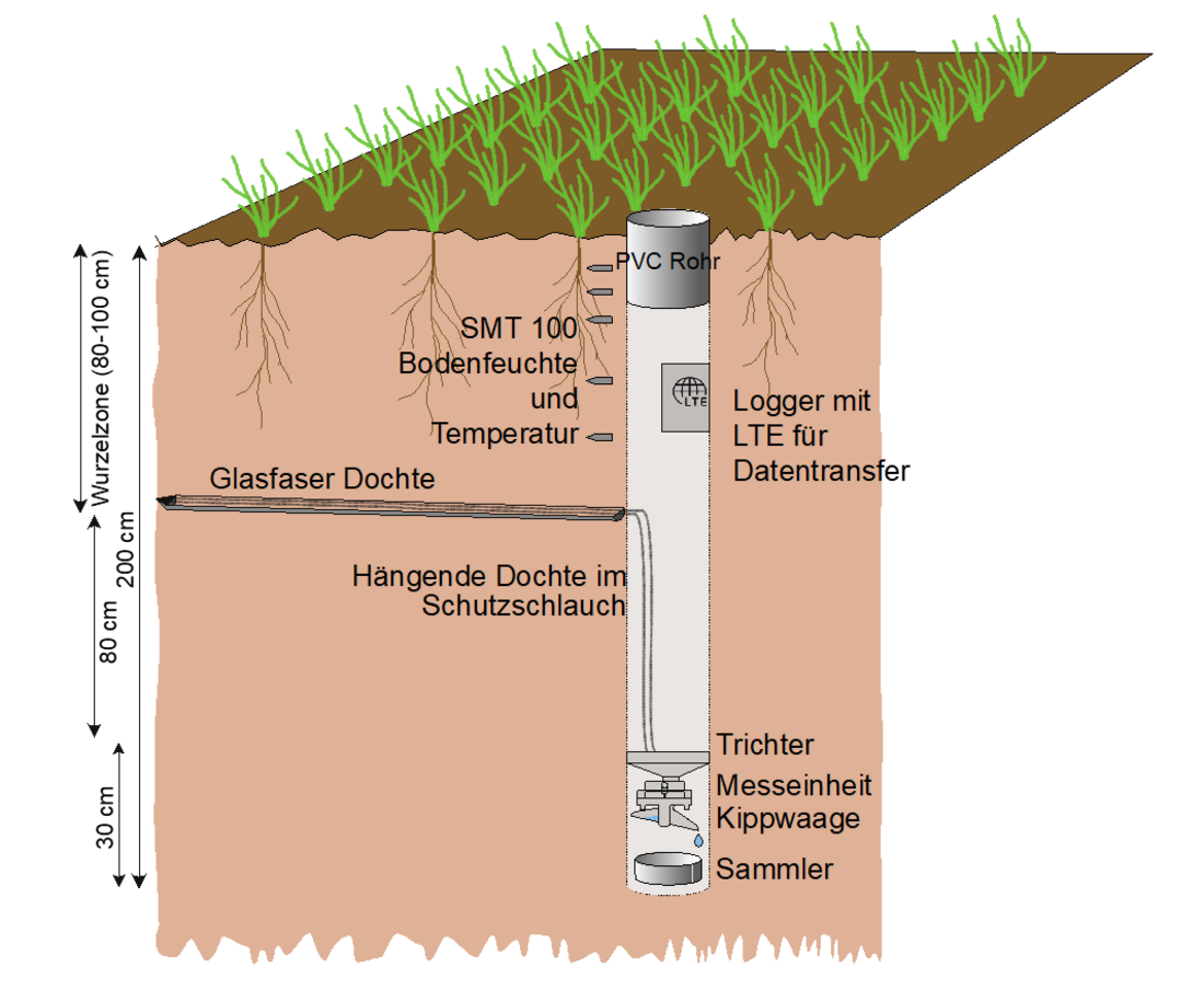 Schematische Querschnittsdarstellung des WICKIE-Systems zur Erfassung von Sickerwasser in einem landwirtschaftlich genutzten Boden. An der Oberfläche wächst eine Kulturpflanze mit einem Wurzelraum von etwa 80–100 cm Tiefe. Unterhalb der Wurzelzone verläuft eine horizontale Schiene mit Glasfaserdochten, die Sickerwasser sammeln und über geschützte, vertikal nach unten geführte hängende Dochte zu einer Messeinheit leiten. Die Messeinheit befindet sich in einem Zugangsschacht und besteht aus einem Trichter, einer Kippwaage zur Mengenmessung sowie einem Sammelbehälter. Im oberen Bereich des Bodens sind Bodenfeuchte- und Temperatursensoren (SMT 100) installiert. Ein Datenlogger mit LTE-Modul für die drahtlose Datenübertragung befindet sich am oberen Ende des PVC-Rohrs. Die Grafik verdeutlicht die kontinuierliche Erfassung von Sickerwasser, Bodenfeuchte und Temperatur im Unterboden.
